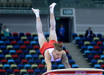 Bakıda idman gimnastikası üzrə Dünya Kuboku yarışlarının ikinci günü start götürüb. Azərbaycan, 20 fevral, 2016